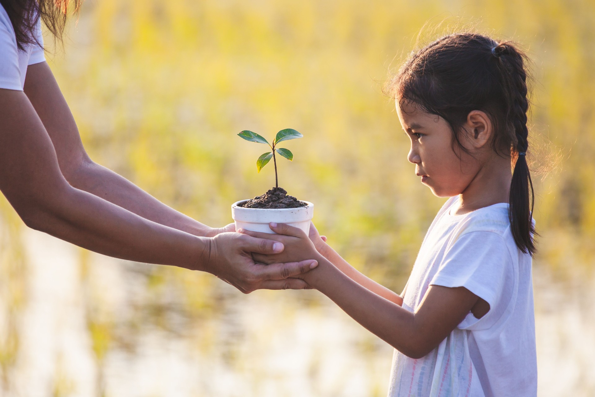 Asian child girl and her mother holding young seedling in the flowerpot together for prepare planting on ground